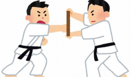 空手道漫画,热血少年逐梦之路